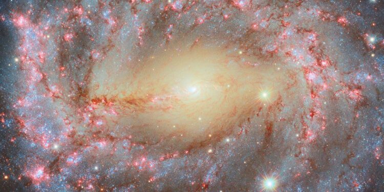 A close-up of a spiral galaxy, seen face-on. Its center is a bright white point, surrounded by a large yellowish oval with thin lines of dust swirling in it. From the sides of the oval emerge two bright spiral arms which wind through the round disk of the galaxy, filled with shining pink spots where stars are forming and more dark reddish dust. Many stars are visible in the foreground, over and around the galaxy.