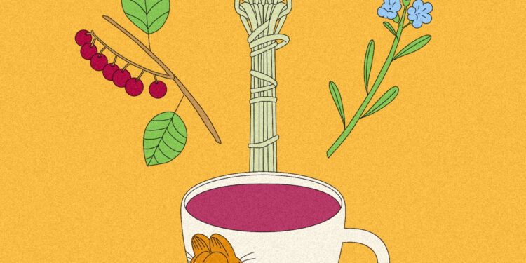 Illustration of a branch with chokecherry berries, a spoon woven out of bear grass, bluebells, and a mug of Hawthorne berry tea