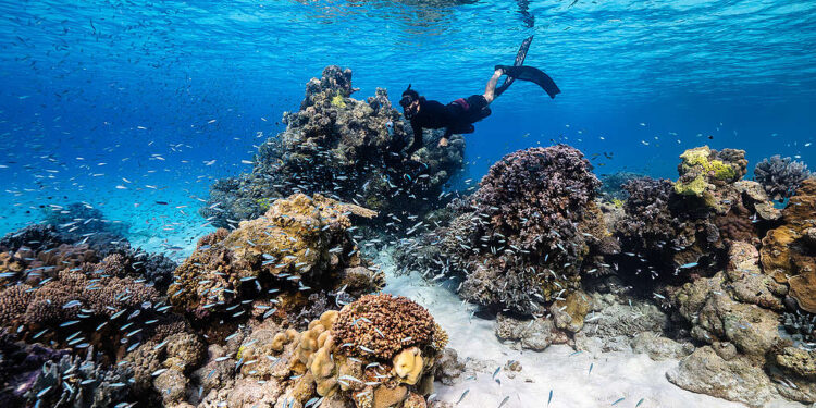 Journey to Scott Reef - Greenpeace Australia Pacific