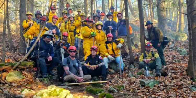 A group of firefighters some of whom are wearing yellow coveralls and some in regular clothes wear red hart hats and stand in a forest