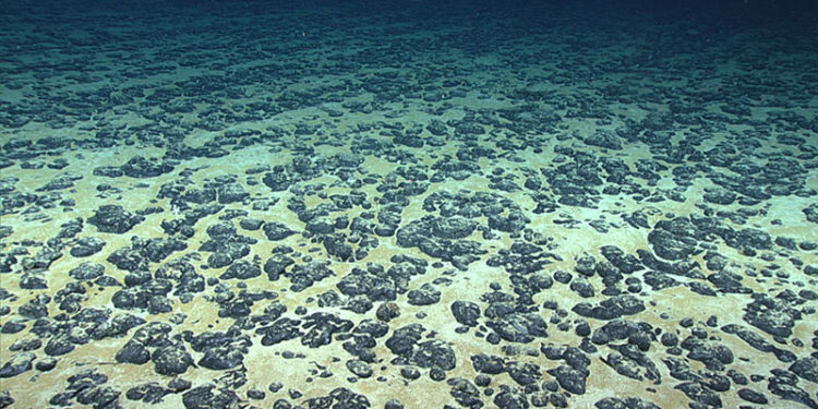 An underwater photo of rocky nodes on the sea floor