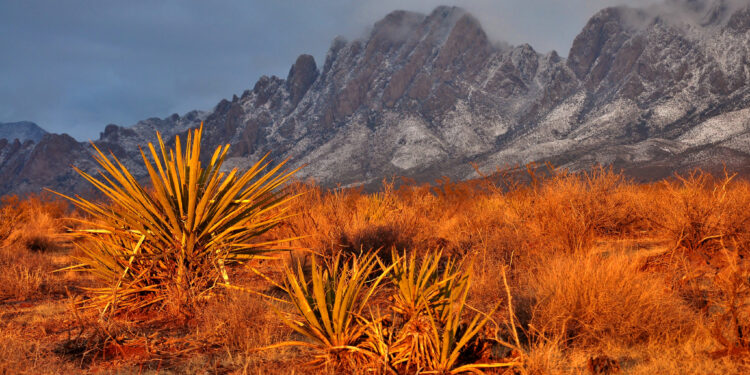 Organ Mountains Desert Peaks: A Decade of Conservation