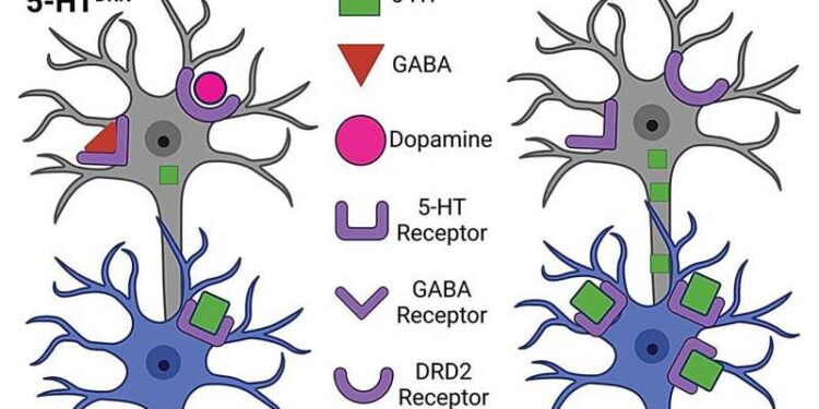 Integrating GABA and dopamine signals to regulate meal initiation