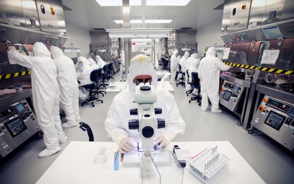 Technicians working in a medical laboratory