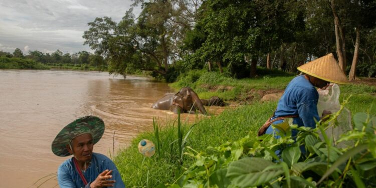 The mighty Mekong River's growing plastic problem