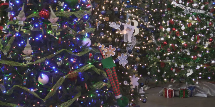 This display features over 300 Christmas trees