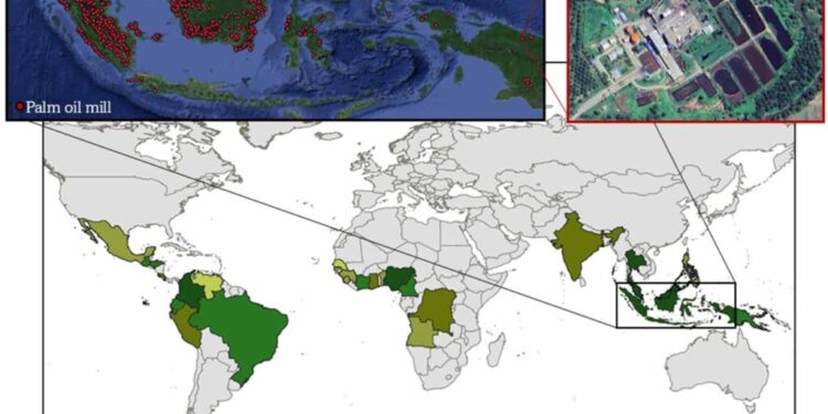 Figure 1. Global distribution of palm oil production and processing facilities. (a) Palm oil production in 2023 (Data source: US Department of Agriculture [5]). (b) Location of POMs in Indonesia (Data source: UML [6]. Map background: Google Satellite). (c) Typical POM in Indonesia (Image source: Google Earth, Image @ 2024 Airbus).