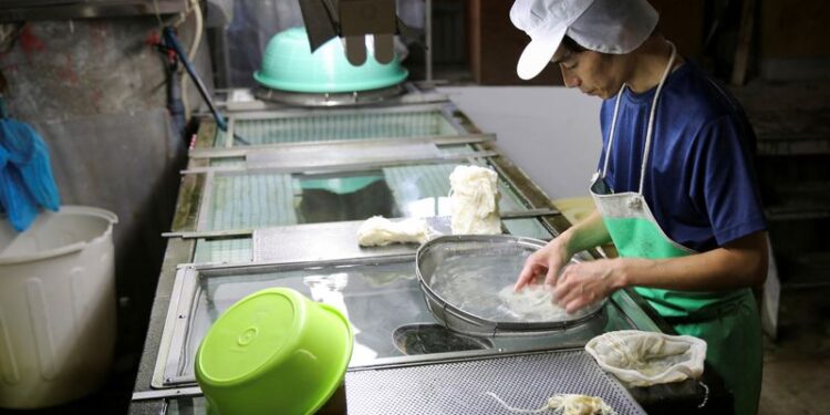 © Reuters. FILE PHOTO: A worker removes impurities from raw paper materials at the Kashiki Seishi factory in Ino, Kochi Prefecture, Japan August 9, 2024.  REUTERS/Anton Bridge/File Photo