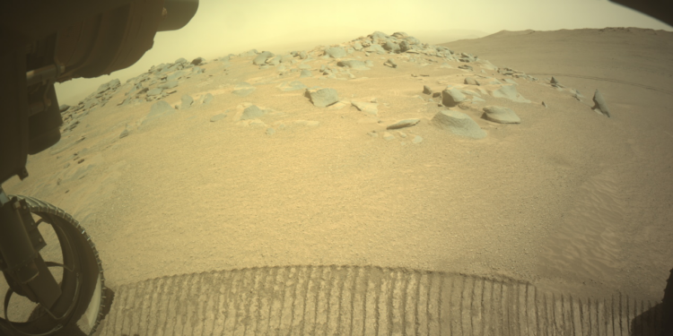 A color photo from the Martian surface shows a desert-like landscape in pale golden brown, with fine soil in the foreground and scattered large rocks protruding from the surface from the middle of the scene toward the horizon beyond. The view, from underneath the Perseverance rover, shows the underside of the rover, in shadow at the top of the frame. One of the rover’s wheels is visible at lower left, and its tracks mark the ground from that wheel along the bottom of the frame to the lower right corner.