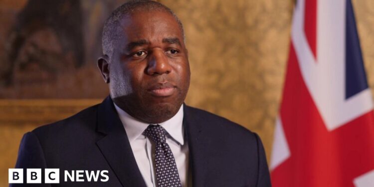 UK in 'diplomatic contact' with Syrian rebels, says Lammy