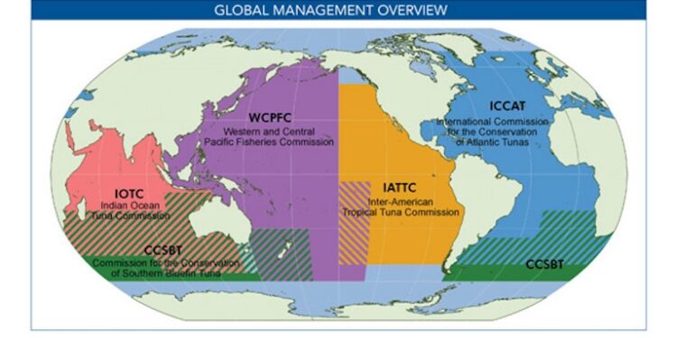 There are about 17 RFMOs in the world, with some overlapping geographically but managing different fish stocks. Map shows the five best-known and commercially important RFMOs, which focus on tuna and tuna-like species. The International Commission for the Conservation of Atlantic Tunas (ICCAT) is among them. Image courtesy of the Pew Charitable Trusts.